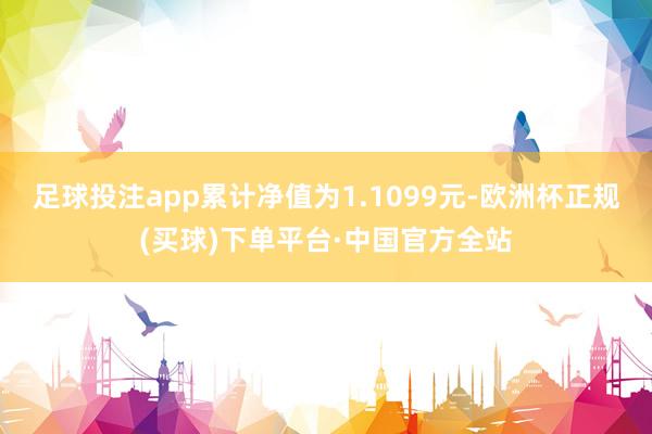 足球投注app累计净值为1.1099元-欧洲杯正规(买球)下单平台·中国官方全站