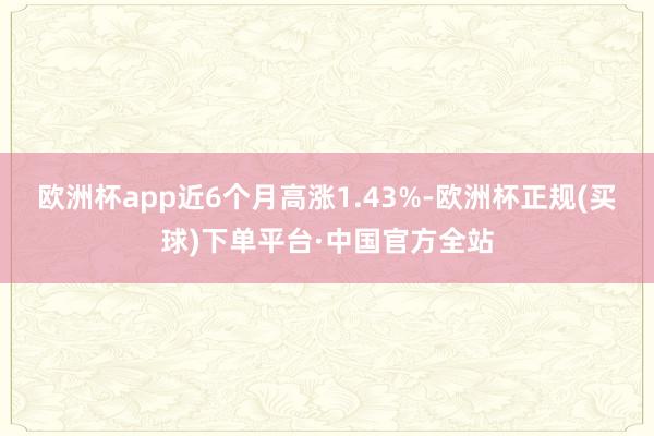 欧洲杯app近6个月高涨1.43%-欧洲杯正规(买球)下单平台·中国官方全站