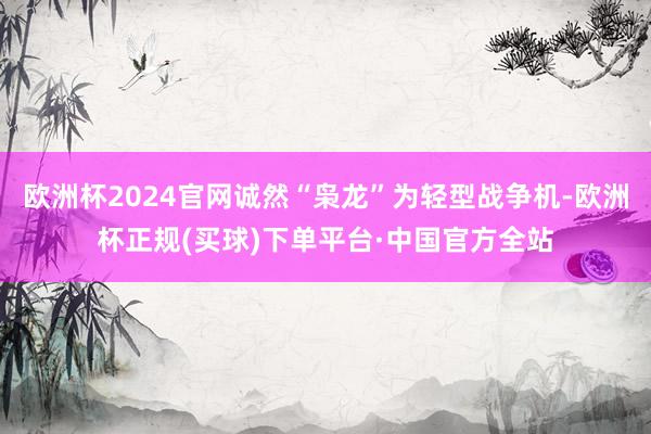 欧洲杯2024官网诚然“枭龙”为轻型战争机-欧洲杯正规(买球)下单平台·中国官方全站