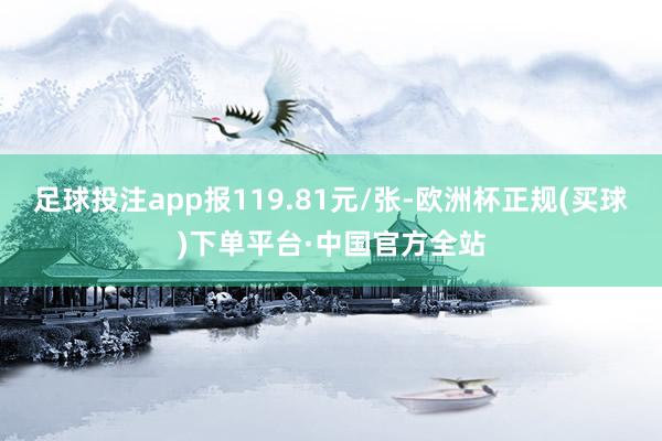 足球投注app报119.81元/张-欧洲杯正规(买球)下单平台·中国官方全站