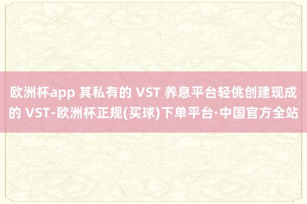 欧洲杯app 其私有的 VST 养息平台轻佻创建现成的 VST-欧洲杯正规(买球)下单平台·中国官方全站