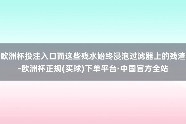 欧洲杯投注入口而这些残水始终浸泡过滤器上的残渣-欧洲杯正规(买球)下单平台·中国官方全站