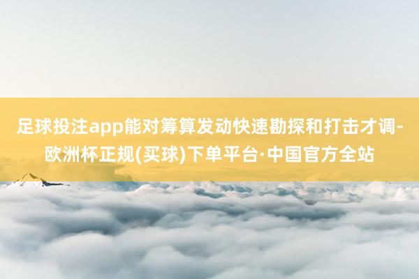 足球投注app能对筹算发动快速勘探和打击才调-欧洲杯正规(买球)下单平台·中国官方全站