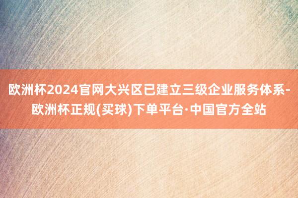 欧洲杯2024官网大兴区已建立三级企业服务体系-欧洲杯正规(买球)下单平台·中国官方全站