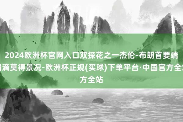 2024欧洲杯官网入口双探花之一杰伦-布朗首要端涓滴莫得景况-欧洲杯正规(买球)下单平台·中国官方全站