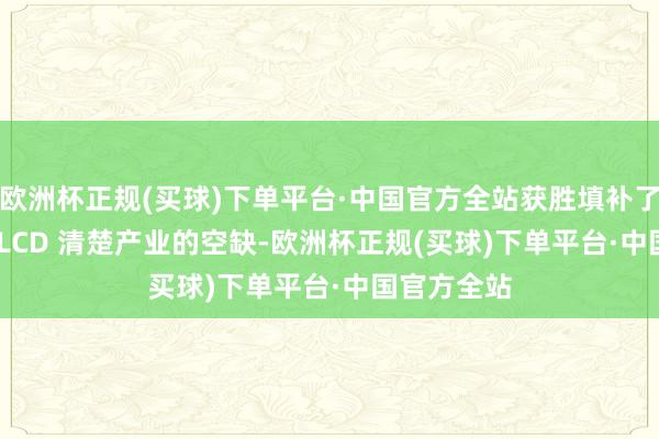 欧洲杯正规(买球)下单平台·中国官方全站获胜填补了国内 TFT-LCD 清楚产业的空缺-欧洲杯正规(买球)下单平台·中国官方全站