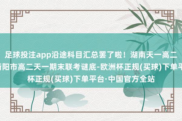 足球投注app沿途科目汇总罢了啦！湖南天一高二期末联考湖南省衡阳市高二天一期末联考谜底-欧洲杯正规(买球)下单平台·中国官方全站