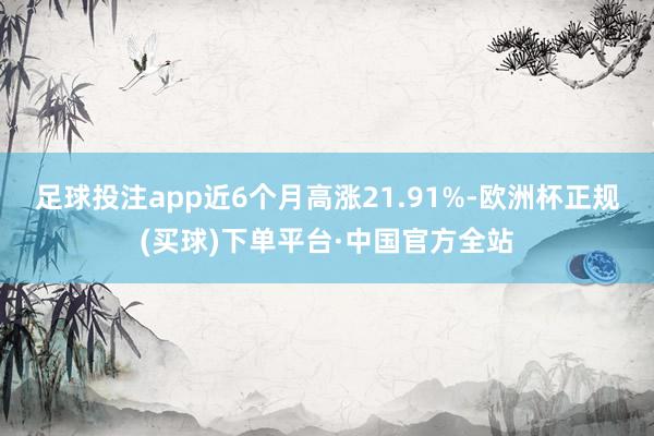 足球投注app近6个月高涨21.91%-欧洲杯正规(买球)下单平台·中国官方全站